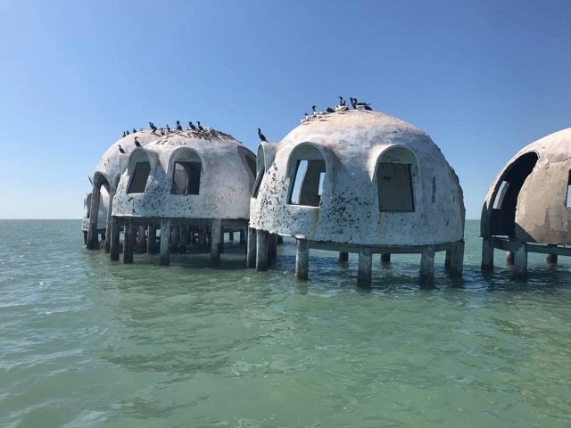 Visit Marco Island 1Ten Thousand Islands Dolphin & Shelling Tour in Marco Island, Florida