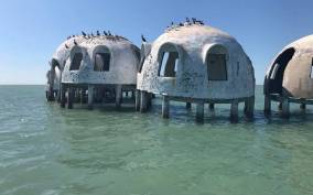 Marco Island: 1Ten Thousand Islands Dolphin & Shelling Tour
