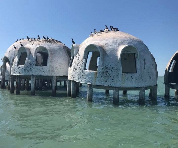 Marco Island: 1Excursión a las Diez Mil Islas para ver delfines y mariscos