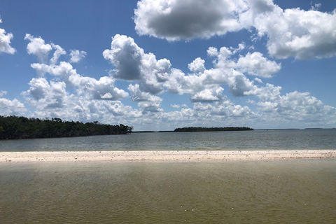 Marco Island: 10,000 Islands 3.5-hr Shelling & Dolphin Tour