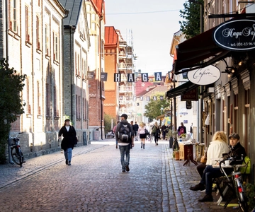Gothenburg: Haga Old Town Walking Tour
