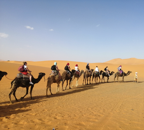 Tours de caminata