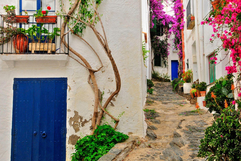 Cadaqués & Underwater Vision: Magic on the Costa Brava From Roses Center
