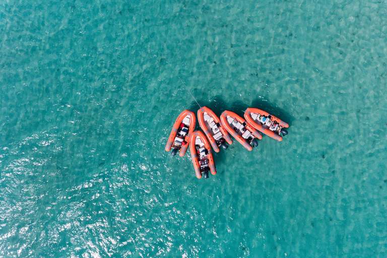 Fajardo : aventure en mini-bateauAventure en mini-bateau