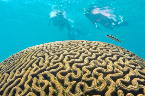 Fajardo : aventure en mini-bateauAventure en mini-bateau