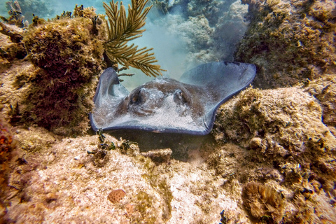 Fajardo : aventure en mini-bateauAventure en mini-bateau