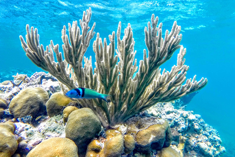 Fajardo : aventure en mini-bateauAventure en mini-bateau