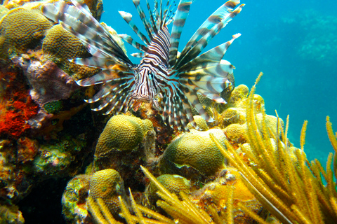 Fajardo : aventure en mini-bateauAventure en mini-bateau