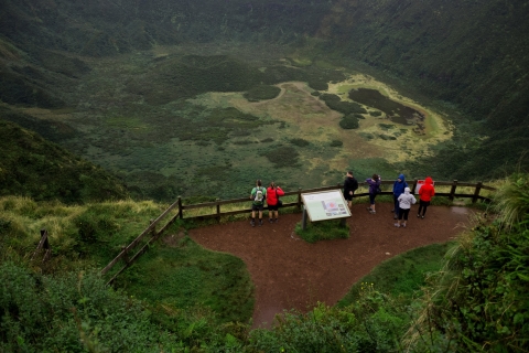 From Horta: Guided Faial Island Tour