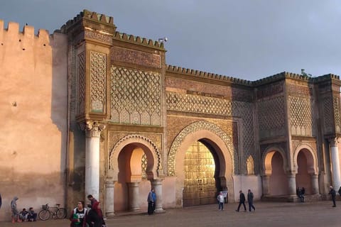 From Fez: Volubilis and Meknes Day Trip