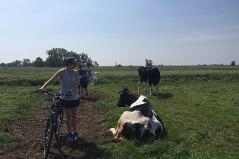 De Amsterdã: passeio de bicicleta pelo campo