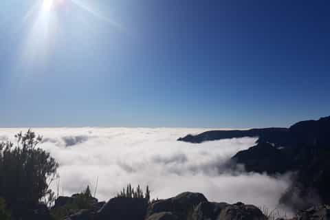 Madeira: Layers of Madeira Hiking Tour