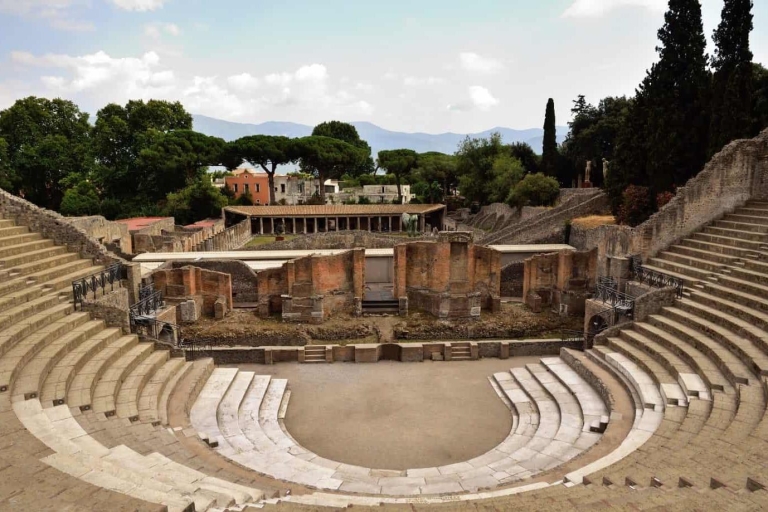 Napels: stadstour van een hele dag met Pompeii en SorrentoTour in het Frans met ophalen van accommodatie