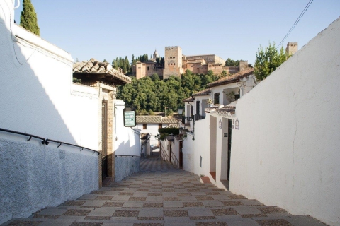 Granada: tour a pie Albaicín, Sacromonte y Museo CuevasTour en inglés