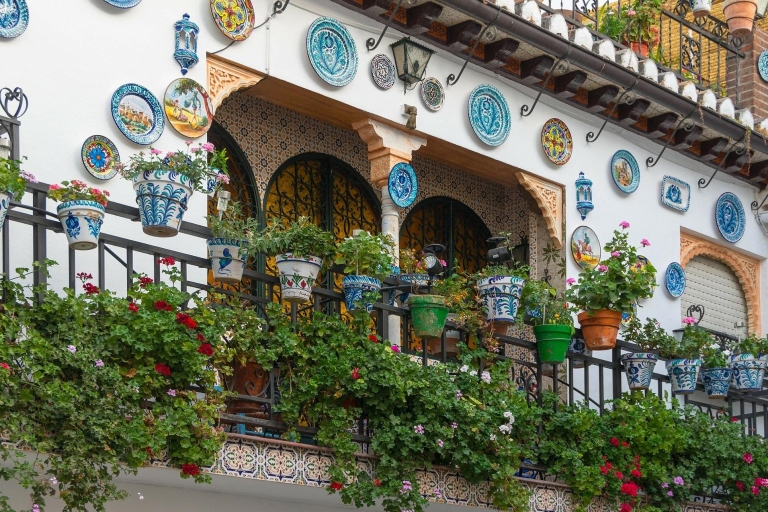 Granada: piesza wycieczka po Albaicín, Sacromonte i muzeum jaskińWycieczka w języku angielskim