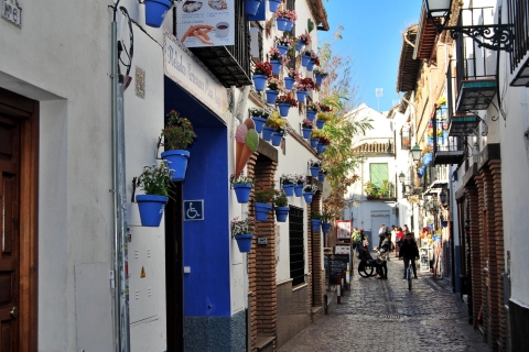 Granada: tour a pie Albaicín, Sacromonte y Museo CuevasTour en inglés
