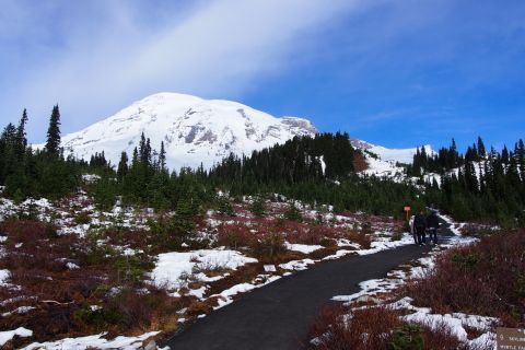 Ab Seattle: Ganztagestour zum Mount Rainier
