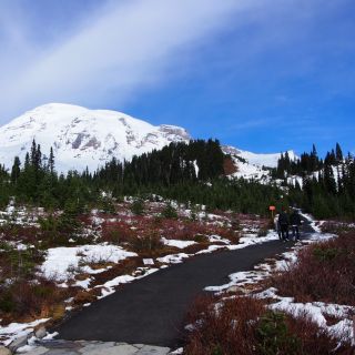 Da Seattle: tour di un'intera giornata al Monte Rainier