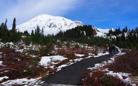 From Seattle: Mount Rainier Full-Day Tour