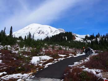 Ab Seattle: Ganztagestour zum Mount Rainier Ab Seattle: Ganztagestour zum Mount Rainier