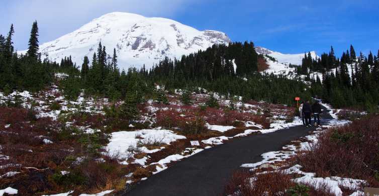 Vanuit Seattle: Mount Rainier-dagtour