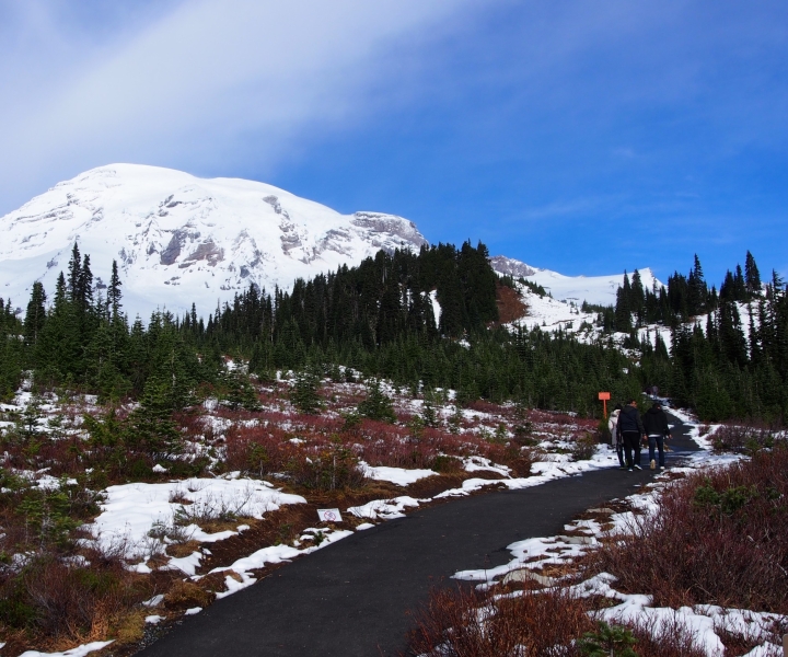 From Seattle: Mount Rainier Full-Day Tour