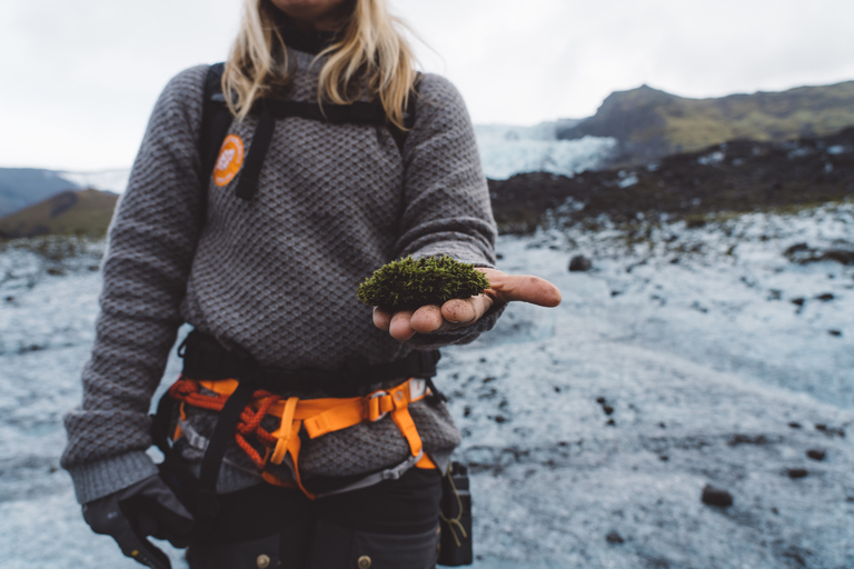 Vatnajökull : Petite randonnée à la rencontre des glaciers avec transfert en 4x4Vatnajökull : Courte marche à la rencontre des glaciers