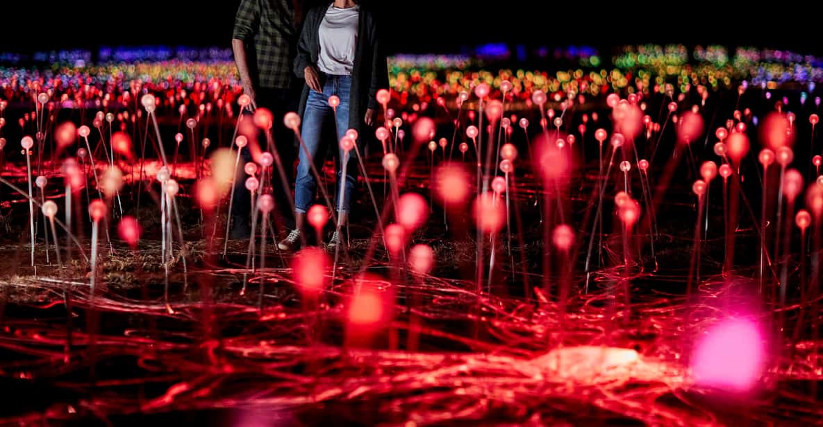 Uluru Field of Light Sunrise Tour with Hot Drinks & Biscuits