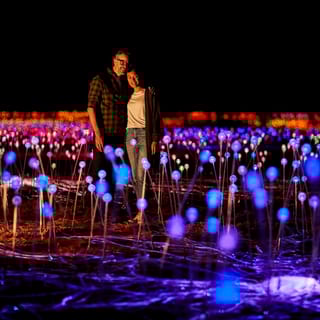 Uluru: Field of Light Sunrise Tour with Hot Drinks