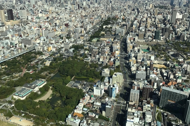 Osaka: visita guiada a pie por los principales lugares de interés y lugares ocultosOpción de grupo privado