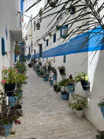 Assilah tour en la costa atlántica - Hizvo