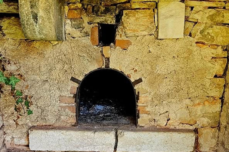 Pula and Rovinj: BUGGY SAFARI 1, 2 & 4 H BUGGY SAFARI ROVINJ 1 H