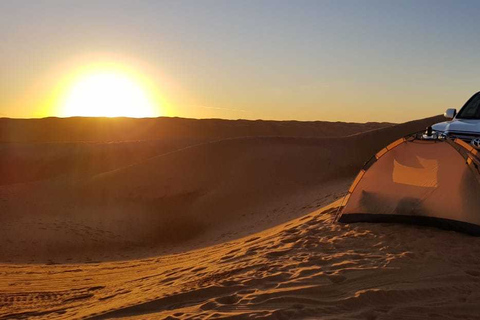 Desde Mascate: safari privado por el desierto con acampada durante la noche