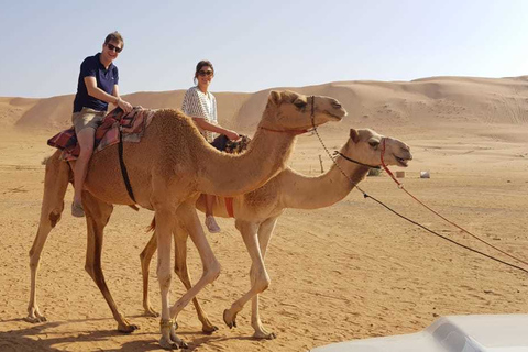 Desde Mascate: safari privado por el desierto con acampada durante la noche