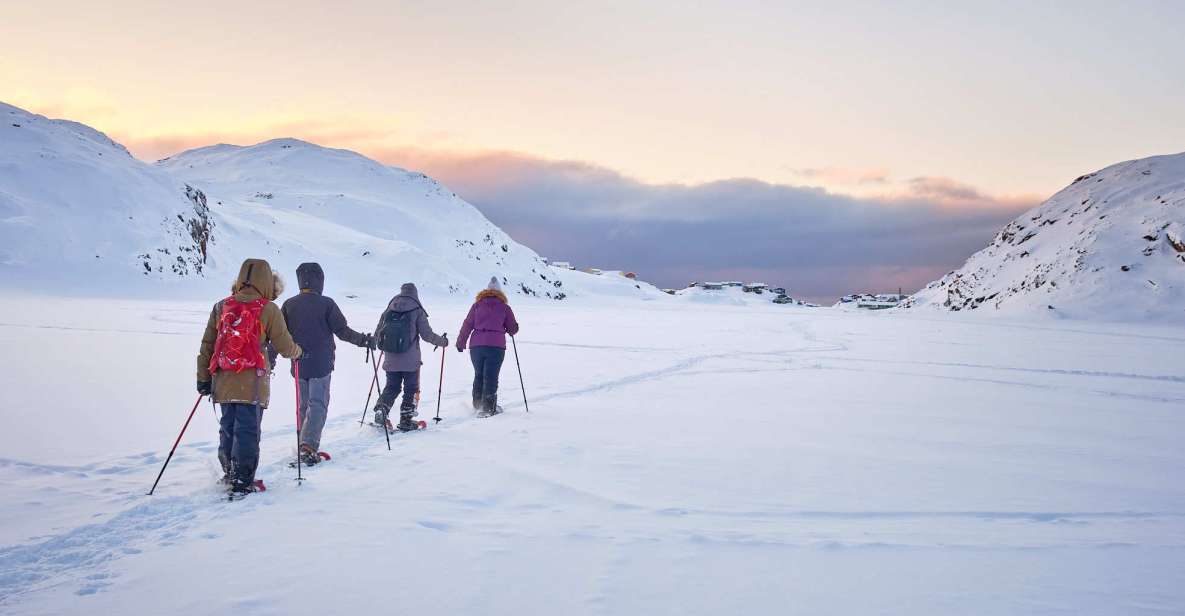 Sisimiut: Winter Snowshoe Hike | GetYourGuide