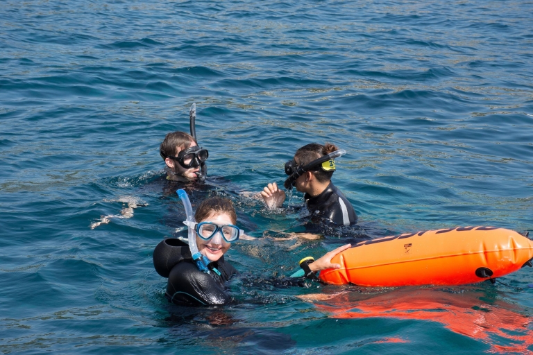 Santa Ponsa: 3-stündige Schnorcheltour in einem MeeresschutzgebietMit Pick-up
