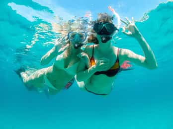 Santa Ponsa: Snorkeling Tour in a Marine Reserve