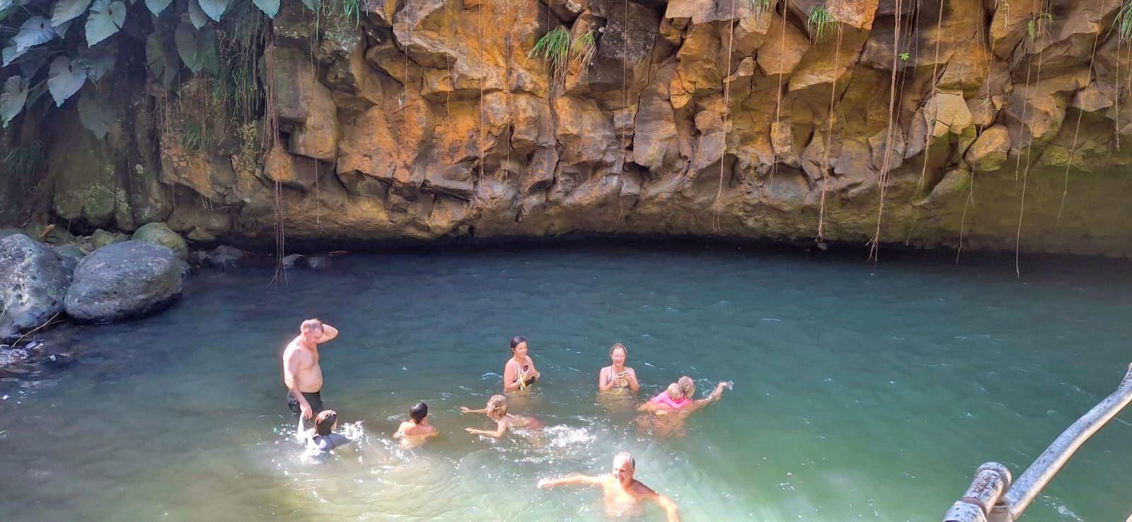Grenada: Gemeinschaftliche Tour zu Wasserfall, Fort und Strand