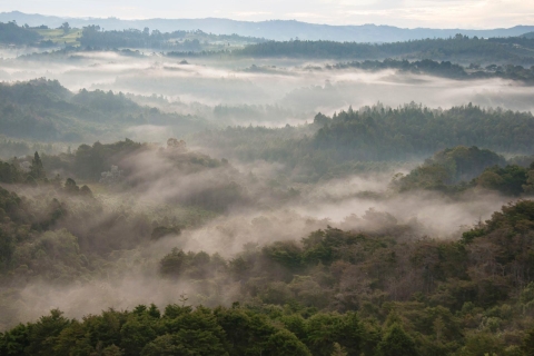 La Cascada de Medellín: Camina y descubre la naturaleza de MedellínMedellín Naturaleza