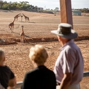Monarto Safari Park: General Admission Tickets