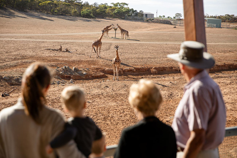 Monarto Safari Park: General Admission Tickets