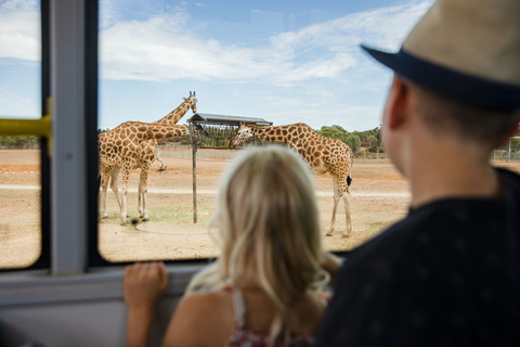 Monarto Safari Park: Allgemeine Eintrittskarten