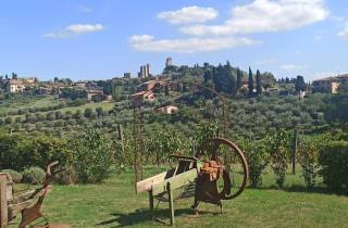Aus Florenz: "Streifzug durch die Hügel von Chanti"