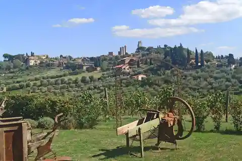 Da Firenze: "Passeggiata tra le colline del Chanti"