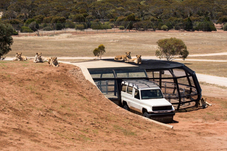 Monarto Safaripark: Biljetter för allmänt inträde