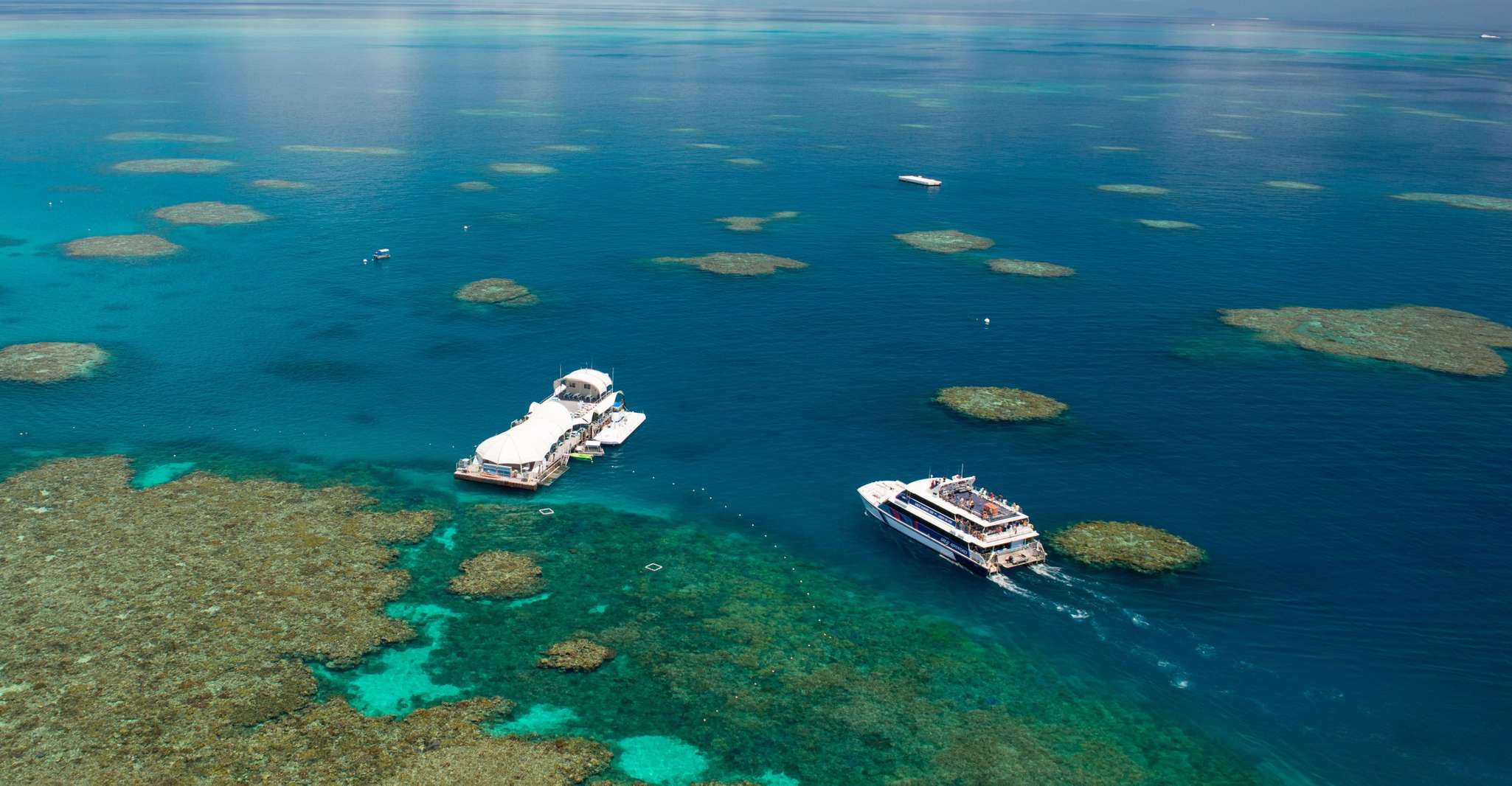 cairns great barrier reef tours catamaran