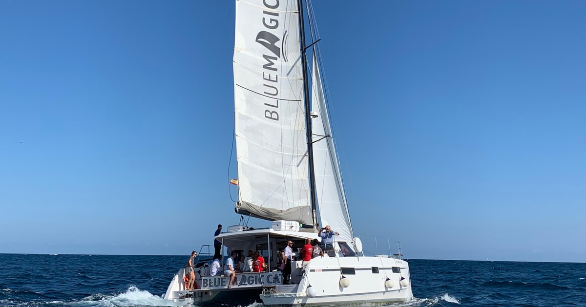 catamaran sailing events