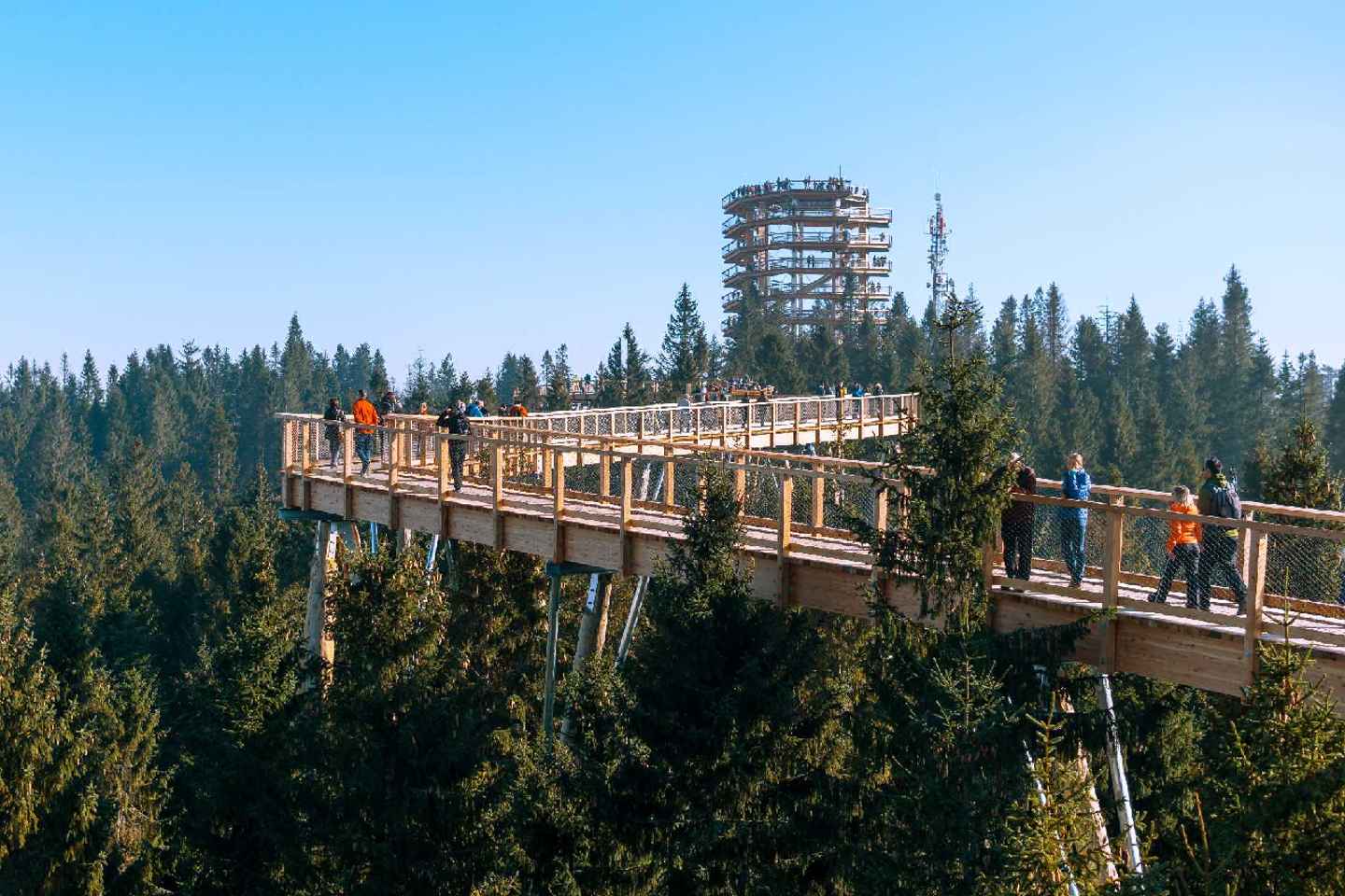 From Krakow: Morskie Oko and Slovakia Treetop Walk