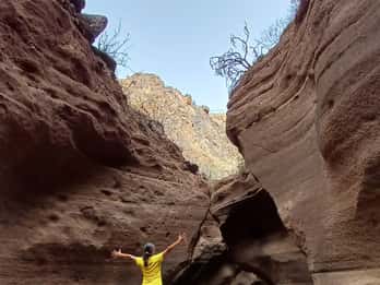 Maspalomas: Barranco de las Vacas, Caves, Farmhouse Tour