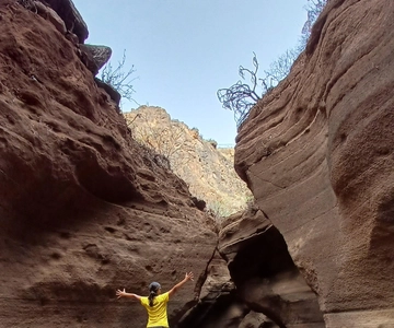 Maspalomas: Barranco de las Vacas, Caves, Farmhouse Tour